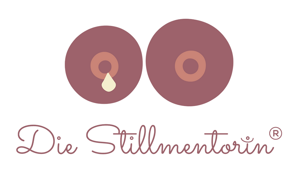 Logo_Stillmentorin2.png