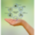 Untitled design(5).png