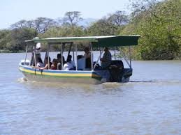Riverboat Animal Tour _ Pottery