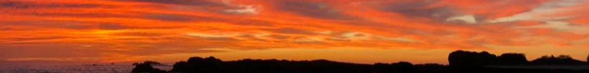 89528424_2518237581748773_2611299043195748352_n_edited_edited.jpg