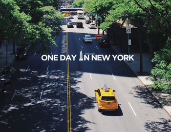 Cars pass on a tree-lined street in New York City.