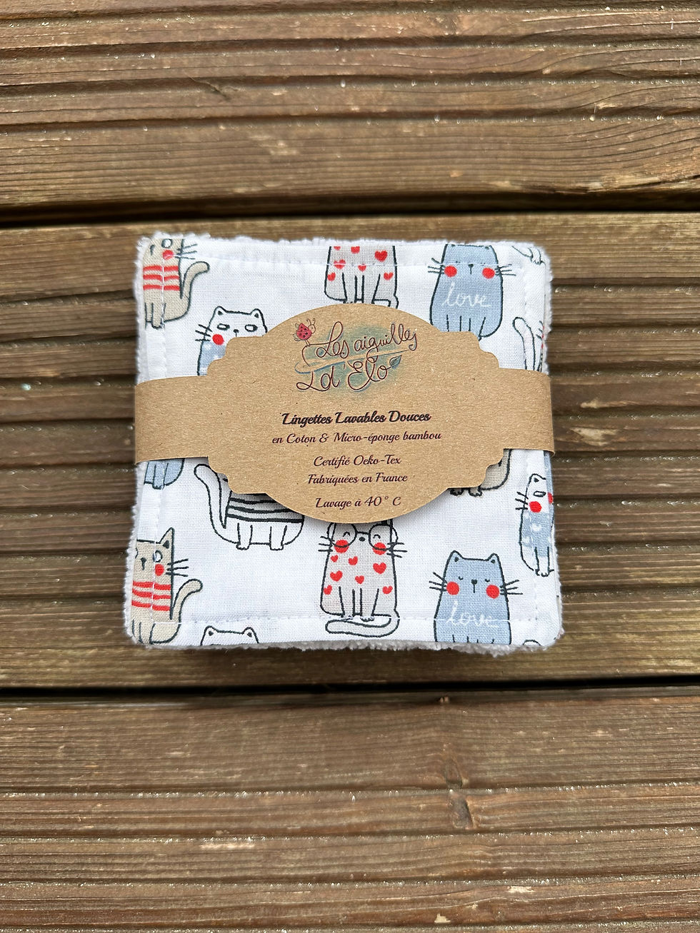 Miniature : Lingettes lavables doublées éponges adulte (lot de 10)