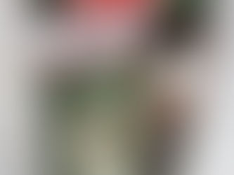 キャンプ、キャンパー、キャンペスト？ｗｗｗ