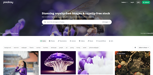 Pixabay screenshot.png