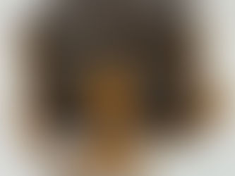 LOUIS VUITTON ルイヴィトン カルトシエールGM モノグラム ショルダーバッグ PVC レザー ブラウン