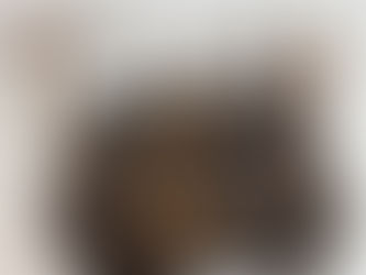 LOUIS VUITTON ルイ ヴィトン モノグラム ソミュール35 ショルダーバッグ 斜め掛けショルダー M42254