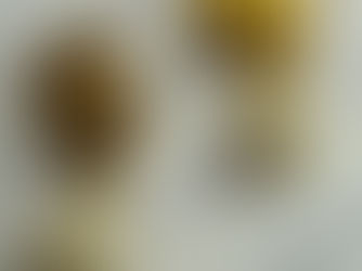 CHANEL シャネル 96V ココマーク ターンロック フェイクパール