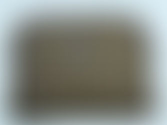 FENDI フェンディ FFロゴ ブラウン クラッチバッグ