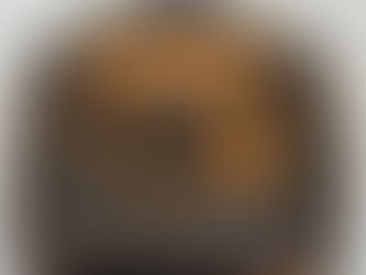 Louis vuitton ルイヴィトン M47270 ボーリング・バニティ ドーヴィル ハンドバッグ  PVC レザー ブラウン