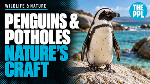The People cover: Penguins at Boulders, sculpted rock at Bourke’s Luck