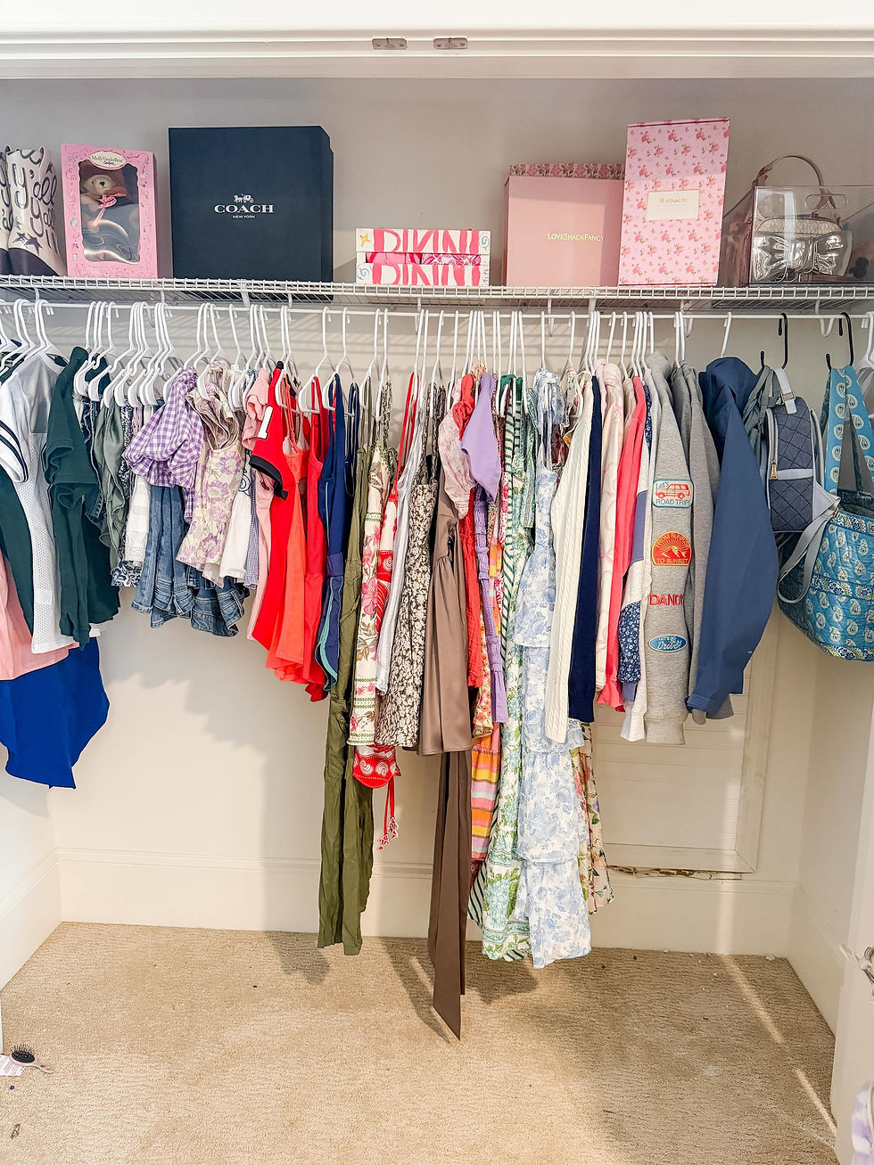 Organized walk-in closet with colorful dresses and tops on hangers, designer boxes on shelf, and handbags; neat, curated look.