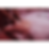 Design ohne Titel.png