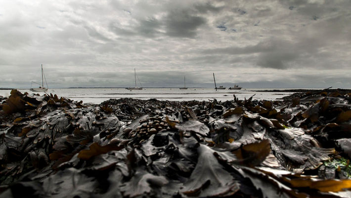 Penerf dans le département du Morbihan en Bretagne. ©Atelierpallagès