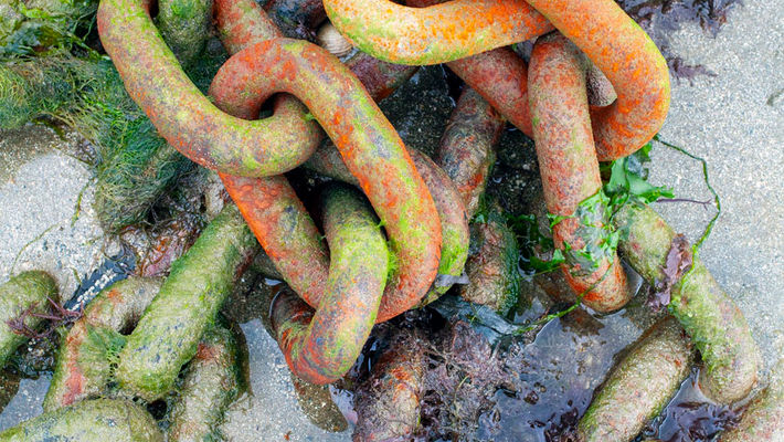 Penerf dans le département du Morbihan en Bretagne. ©Atelierpallagès