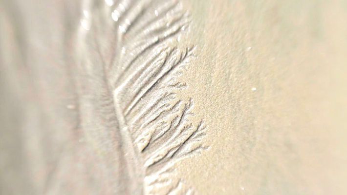 Presqu'île de Crozon - ©Atelier Pallagès