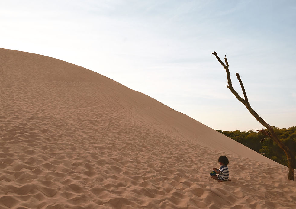 L´innocence du désert