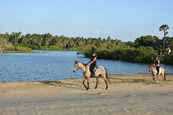 Horse Riding in Kalpitiya Sri Lanka at Elements Beach & Nature Resort