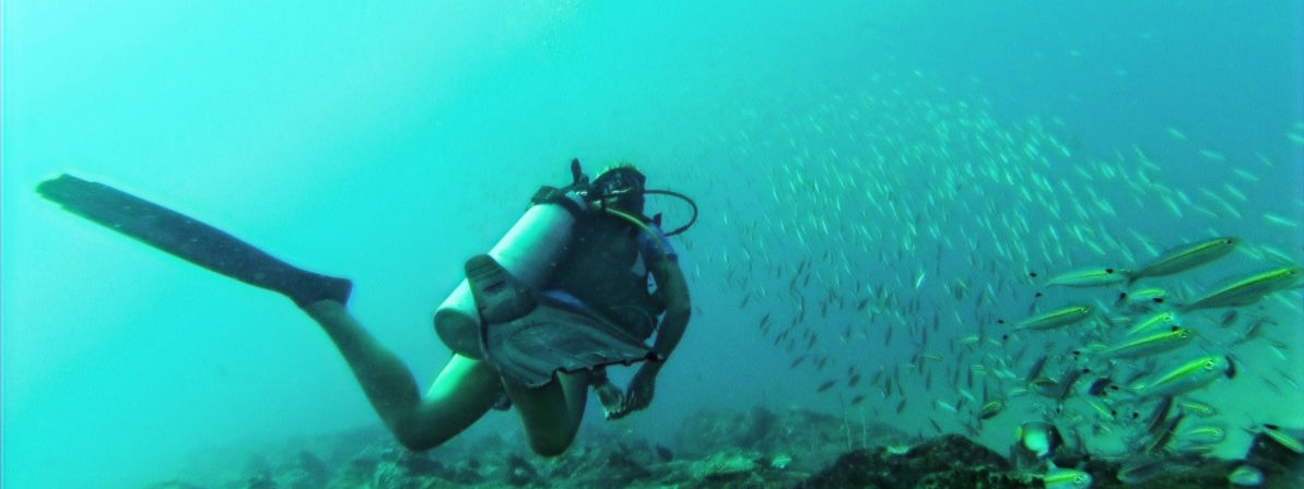 Scuba Diving Kalpitiya, Sri Lanka, Kappalady Reef