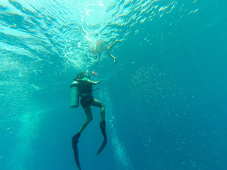 Scuba diving in Sri Lanka: A guide for adventure travellers