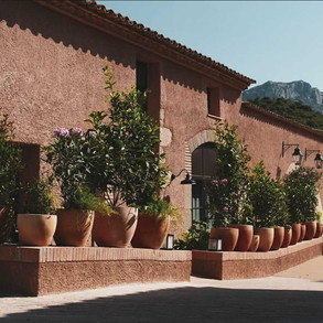 hotel-terra-dominicata-priorat.jpeg