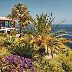 eco-hotel-jardin-tecina-la-gomera.jpeg