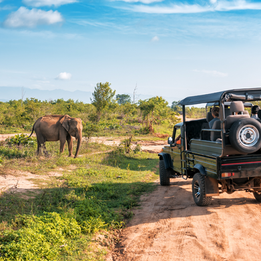 What to Pack for a Safari: Essential Guide for the Adventure of a Lifetime