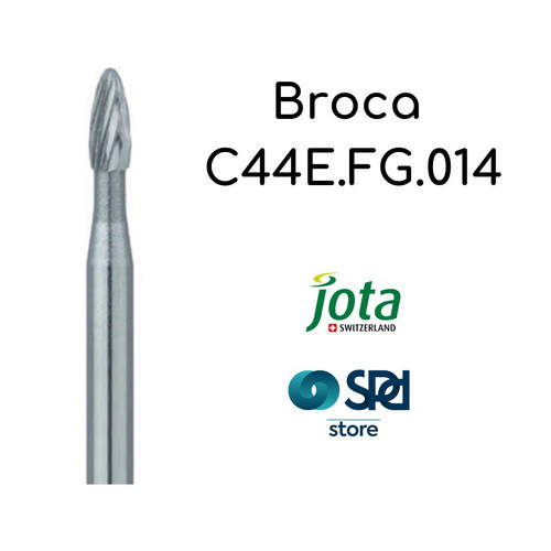 メ*4様 化石　F-8 Broca 12 laminas C44E - Jota | SPD Store