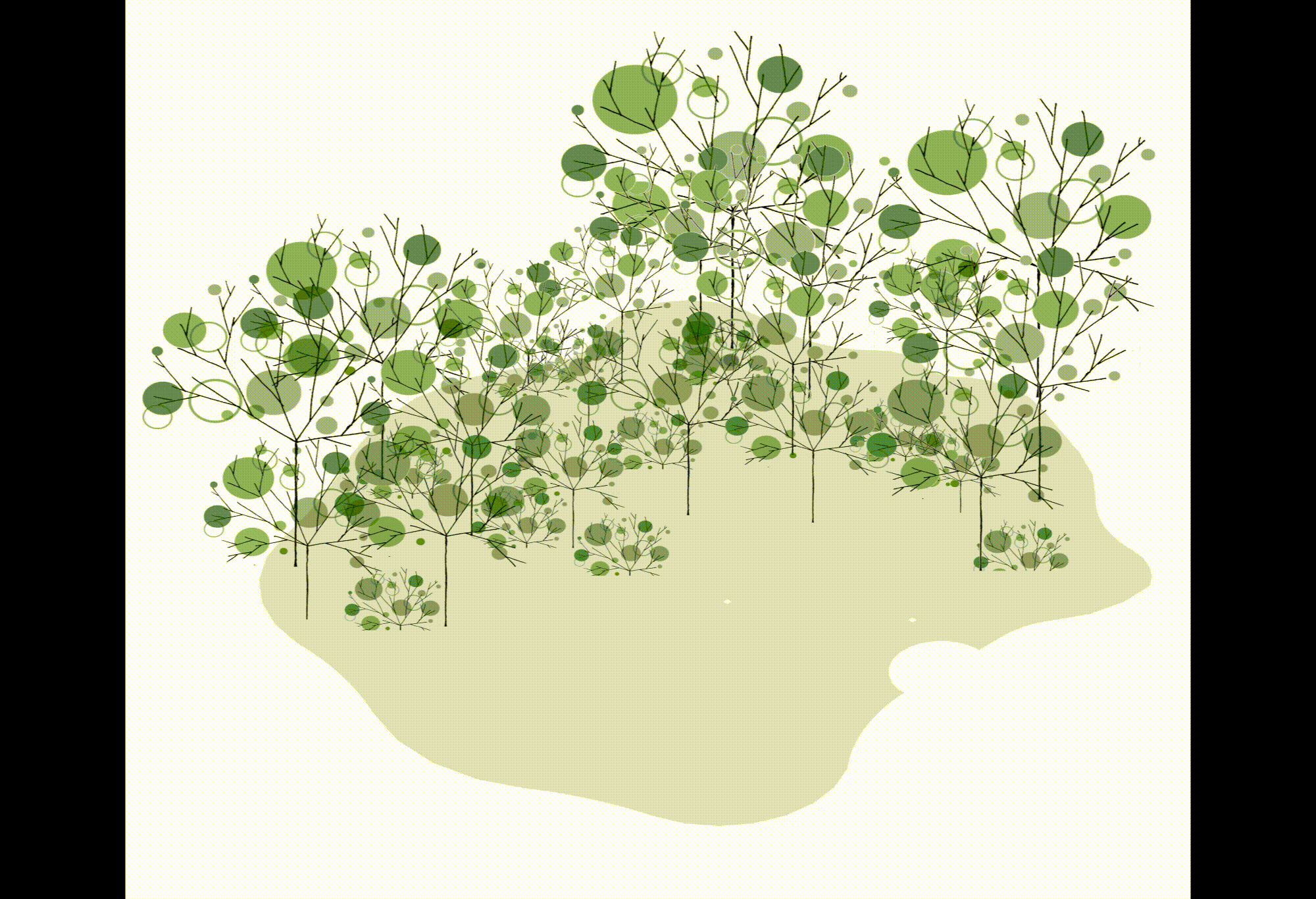 Animation-et-visuel-fin-neutre.gif