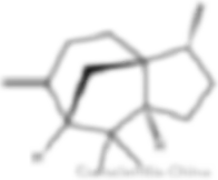 beta-Cedrene CAS 546-28-1 Molecular Structure - Conscientia Industrial China