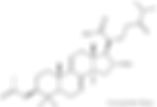 Dehydropachymic Acid | CAS 77012-31-8 Manufacturer & Supplier in China | Conscientia Industrial