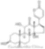 CAS 464-74-4 Arenobufagin Molecular Structure - Conscientia Industrial