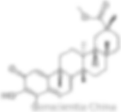 CAS 1258-84-0 Pristimerin molecular structure - Conscientia Industrial China