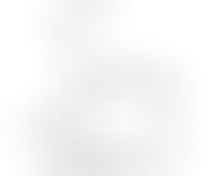 Pimecrolimus | 137071-32-0