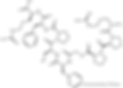 CAS 58-82-2 Bradykinin molecular structure - Conscientia Industrial China