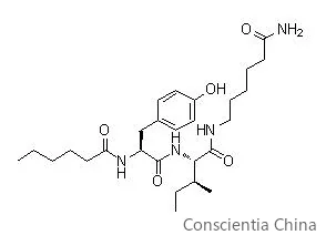 dihexa molecular weight Dihexa 10mg Capsules | Cognitive Research Support Peptide main image 0