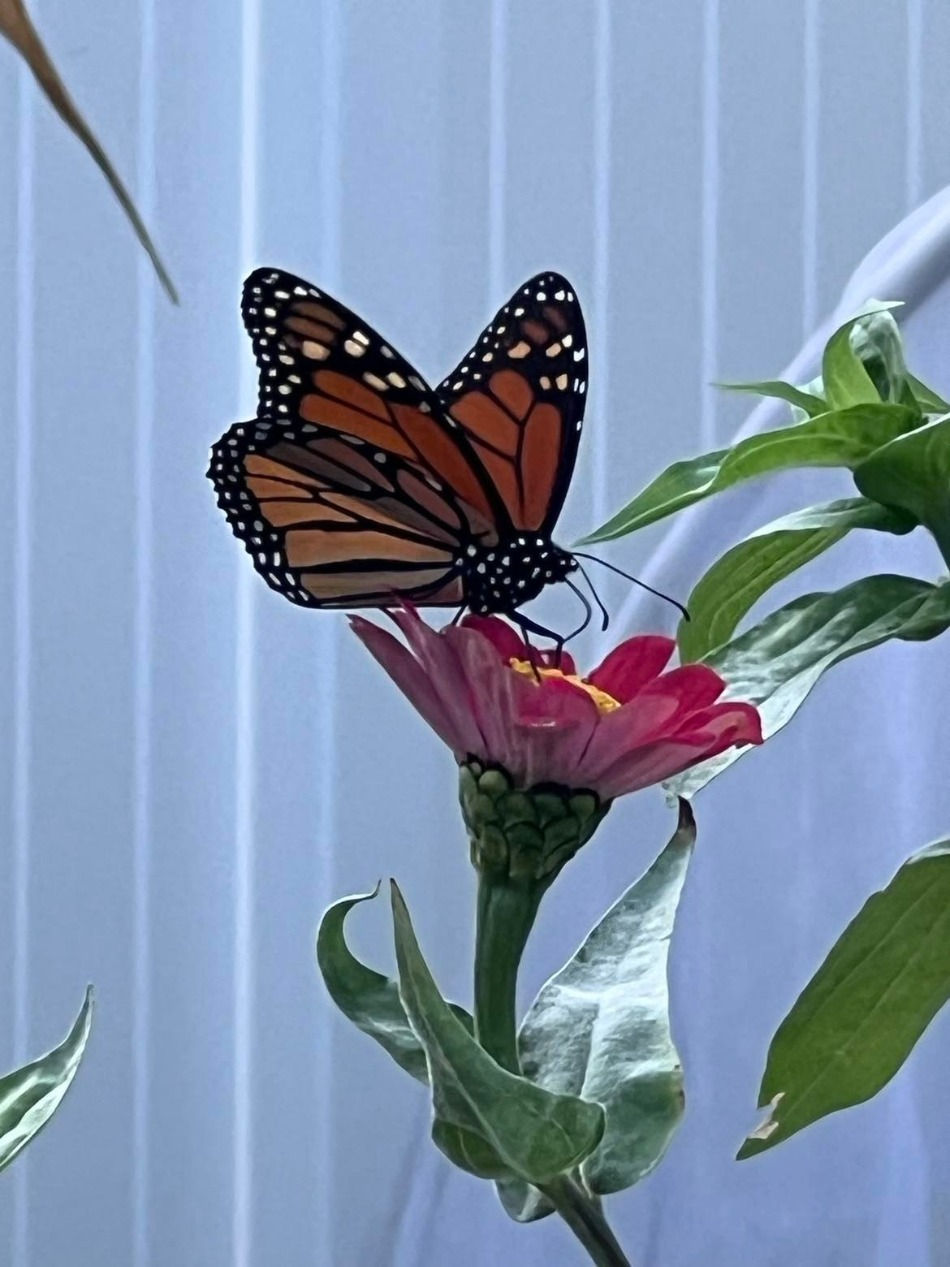 306855259_611934253799671_8758872053292816473_n_edited.jpg