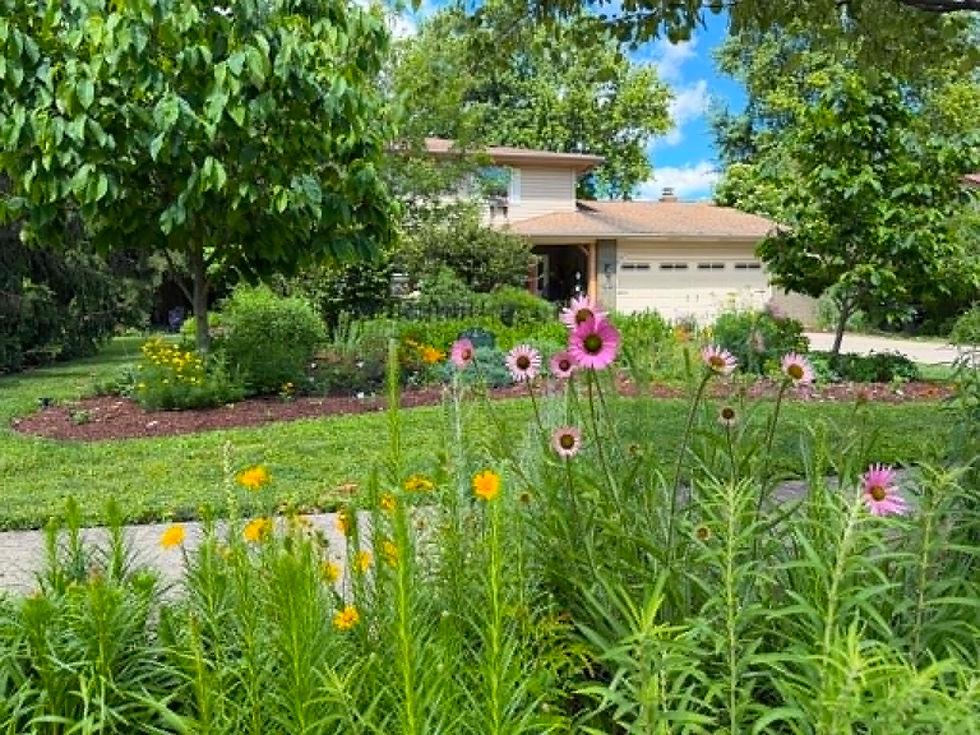 A pollinator garden in a suburban front yard, with an edible landscape element