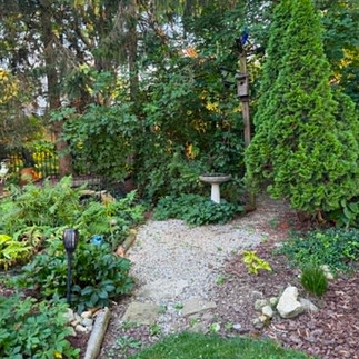A woodland garden in a suburban landscape