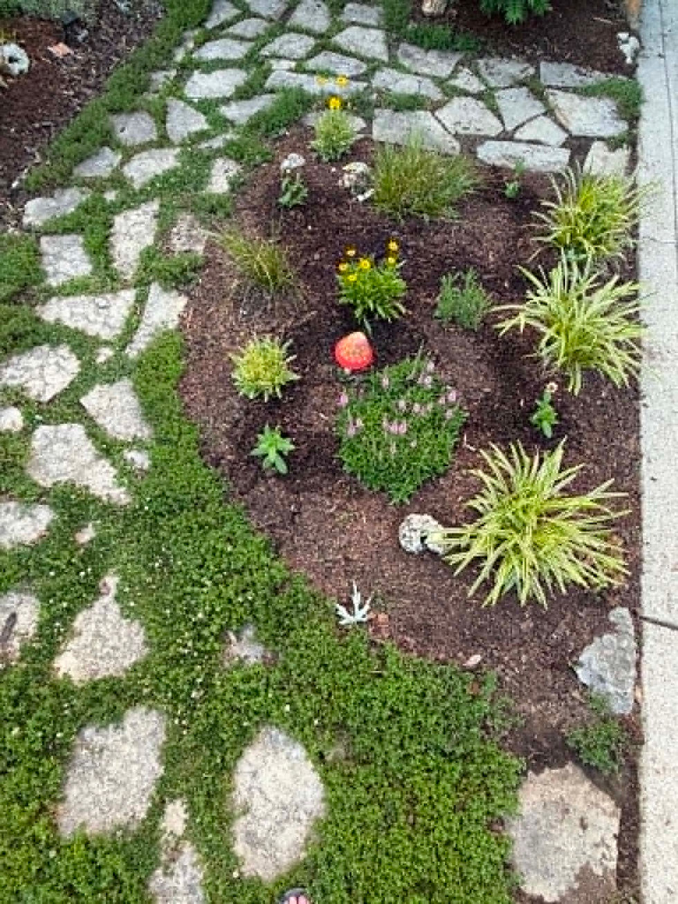 a small pollinator garden next to an eco-friendly sidewalk