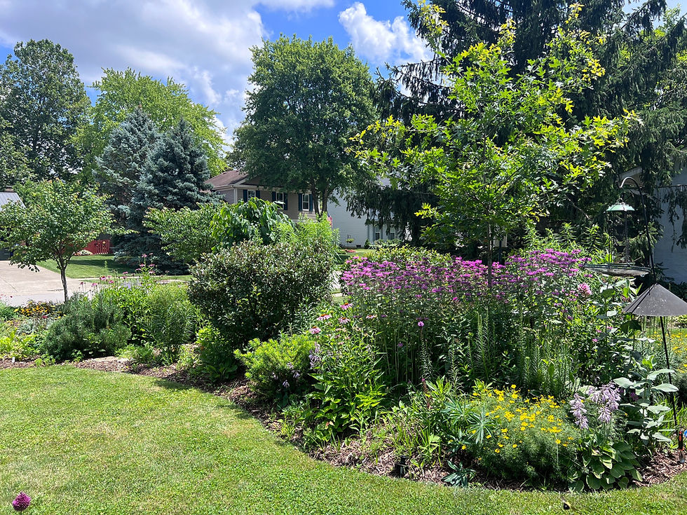 Diverse pollinator garden with native plants and flowers in Ohio