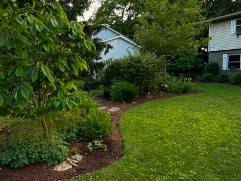 An edible landscape plan in a suburban yard