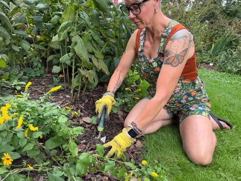 Removing unwanted plants in the fall saves time in the spring