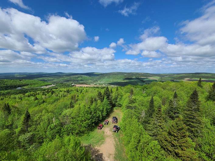 Mountain bike trail in the forest