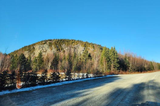 Forest trail in Quebec for ATVs