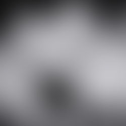 קצב העבודה שיביא למקסימום גדילה