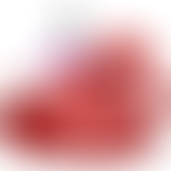 צריכת חלבון והשפעה על הכליות