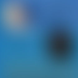 קריאטין – התוסף המושלם