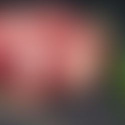 אלו הם סוגי החלבון הטובים ביותר לבניית שריר