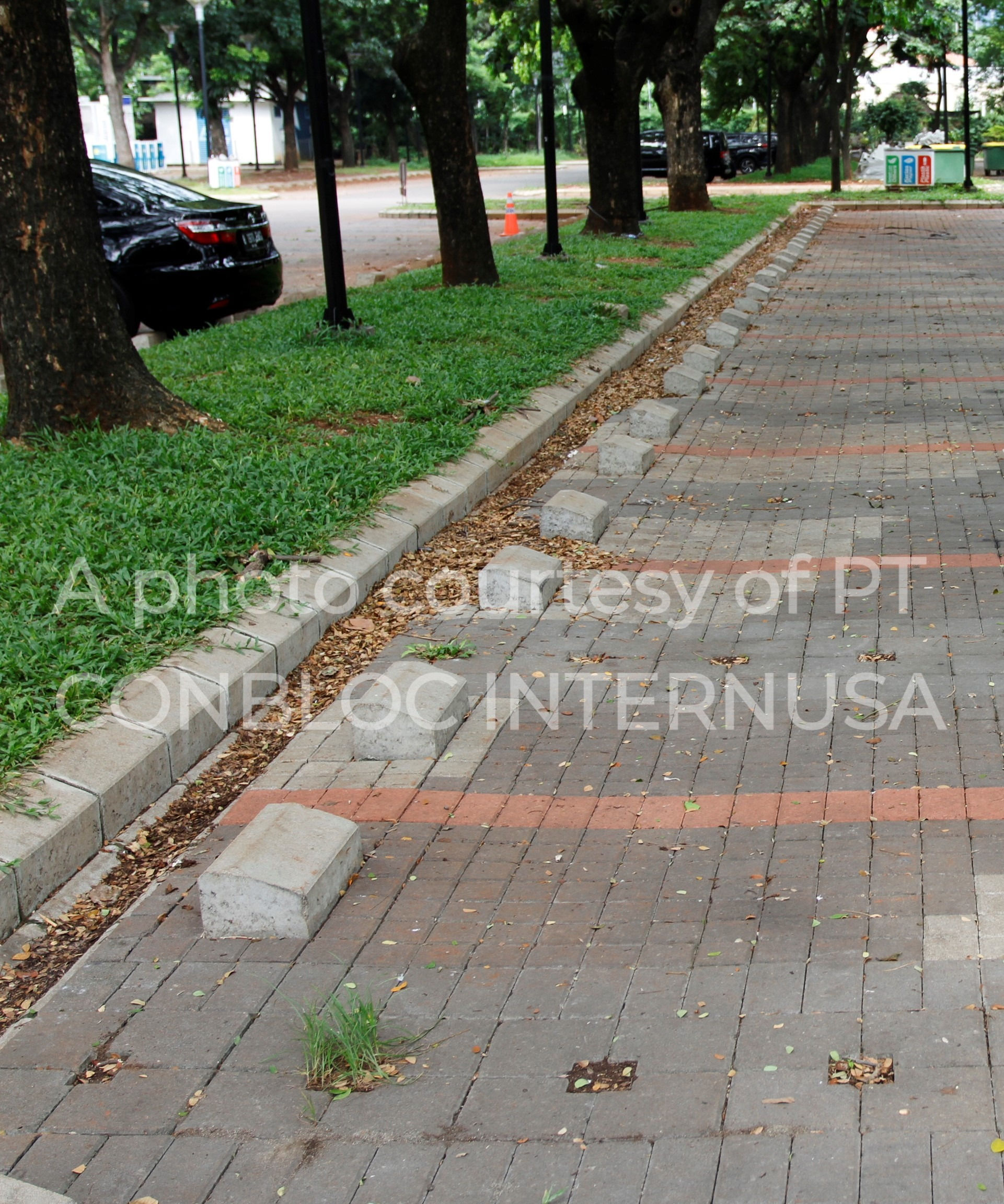 Kanstein kapuk digunakan sebagai car stopper dan pembatas dengan paving block di area parkir timur senayan Jakarta