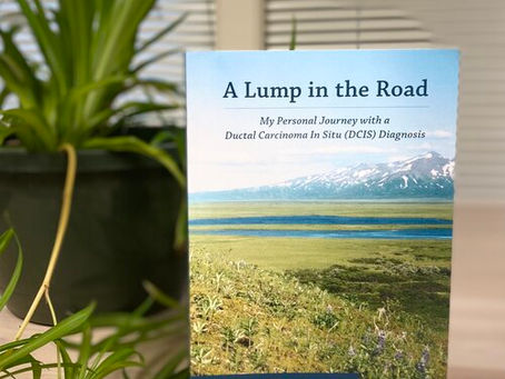A Blog about a Book